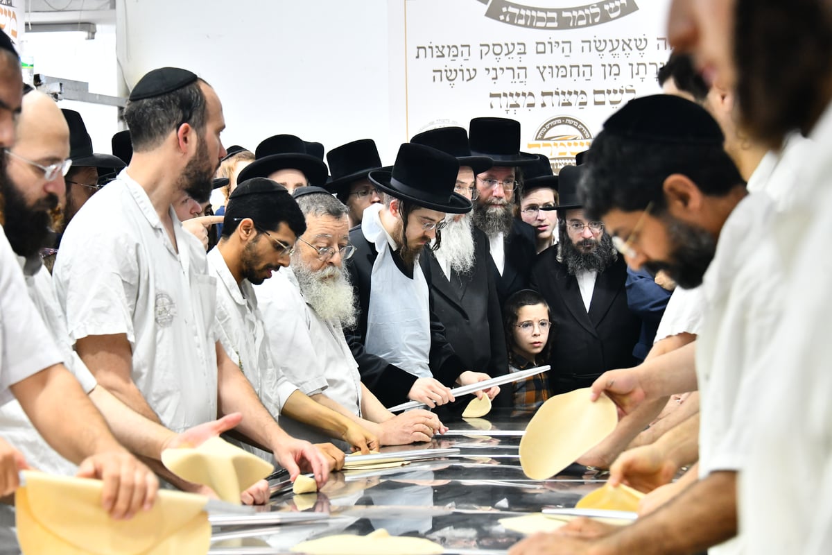 האדמו"ר מסאדיגורה באפיית המצות 