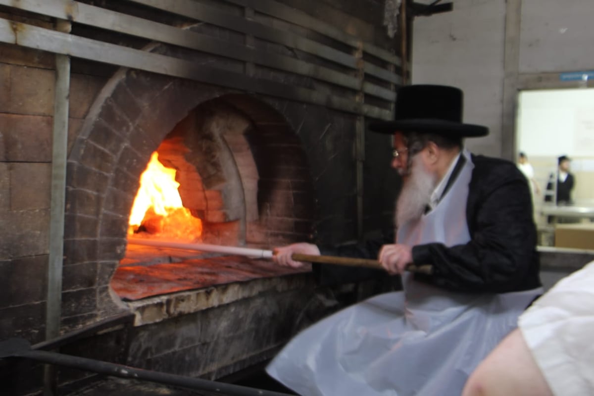 האדמו"ר מקומרנא באפיית המצות