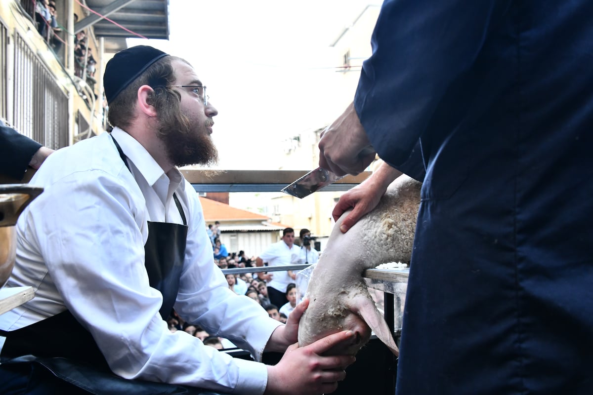 הקרבת קורבן פסח בבני ברק