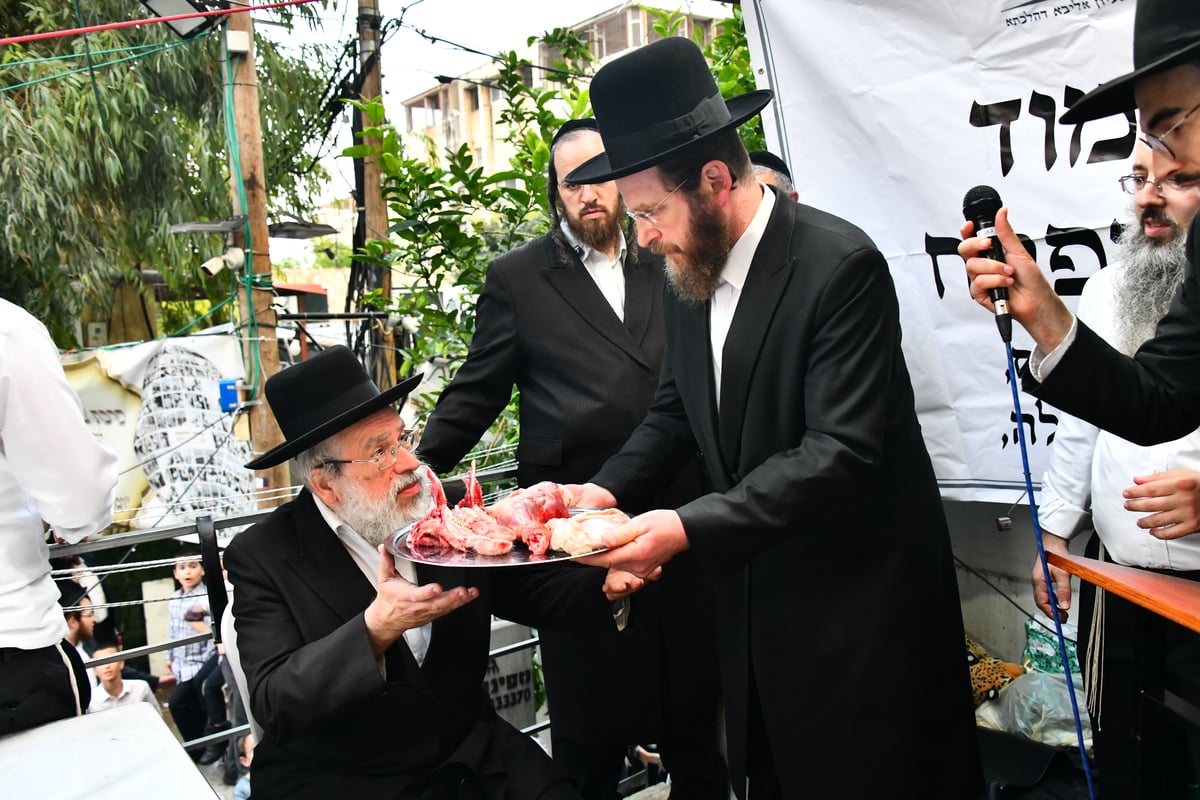 הקרבת קורבן פסח בבני ברק