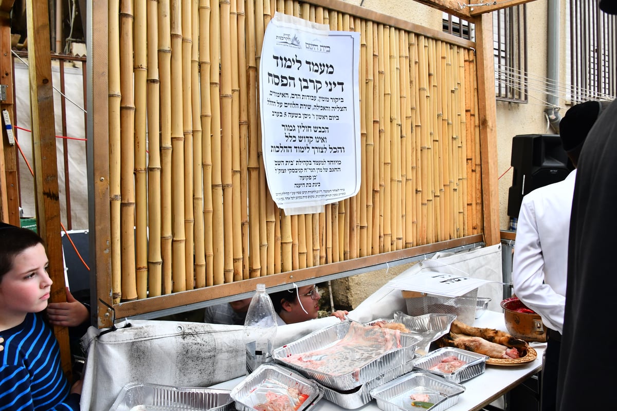 הקרבת קורבן פסח בבני ברק