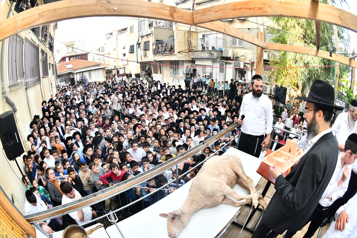 הקרבת קורבן פסח בבני ברק