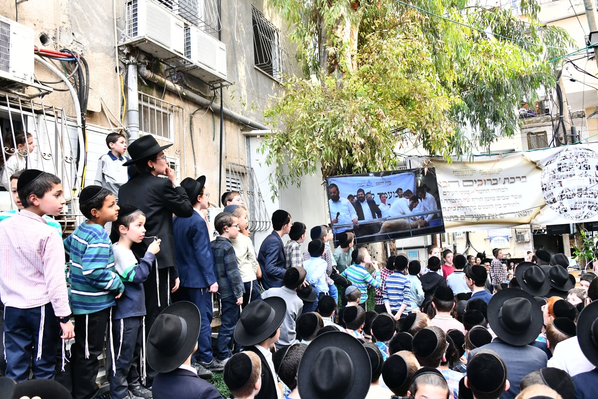 הקרבת קורבן פסח בבני ברק