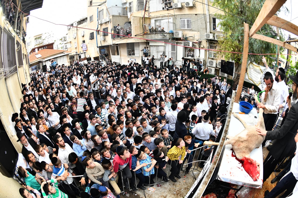 הקרבת קורבן פסח בבני ברק