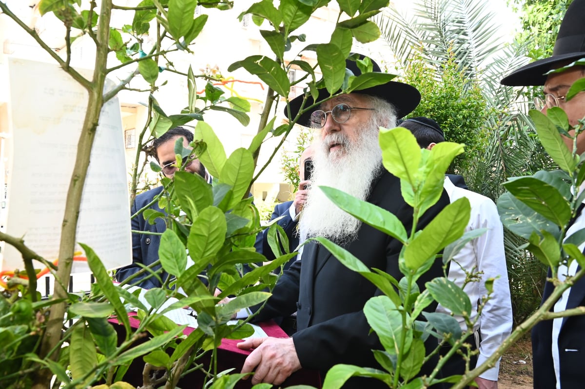 הגרד"ח פינטו בברכת האילנות