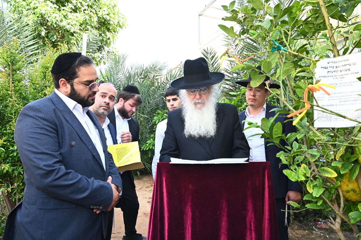 הגרד"ח פינטו בברכת האילנות