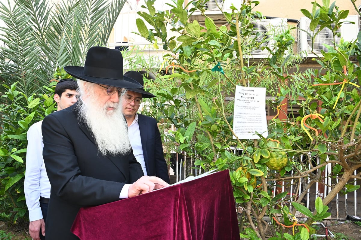 הגרד"ח פינטו בברכת האילנות