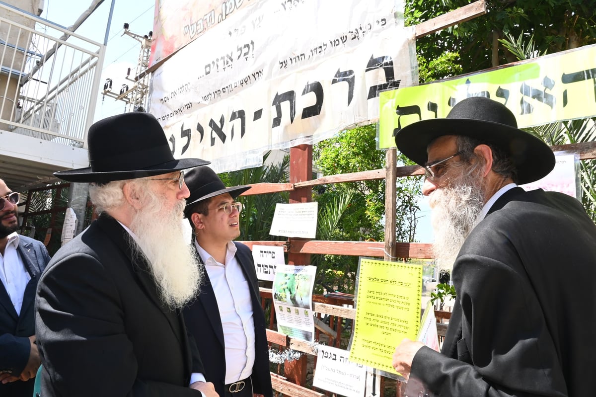 הגרד"ח פינטו בברכת האילנות