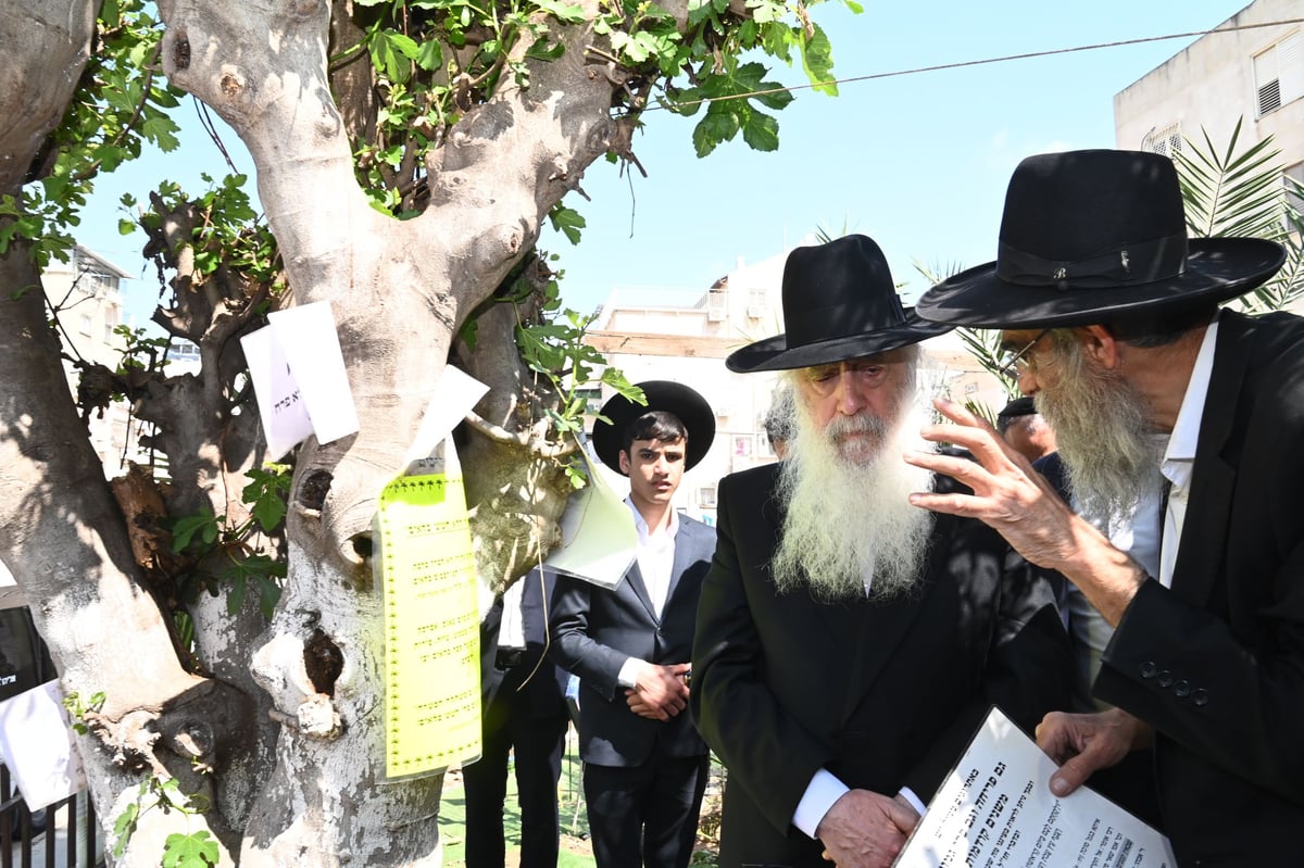 הגרד"ח פינטו בברכת האילנות