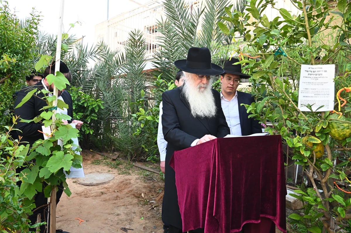 הגרד"ח פינטו בברכת האילנות