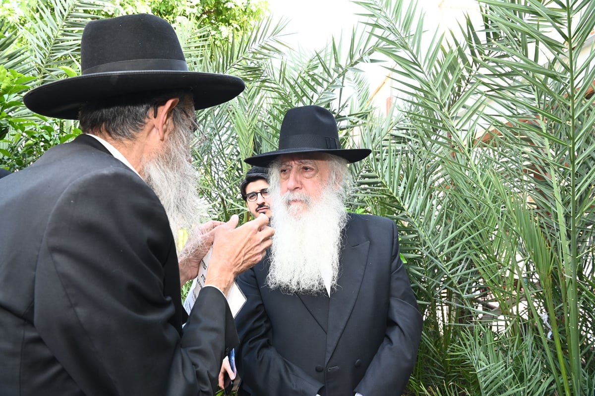 הגרד"ח פינטו בברכת האילנות