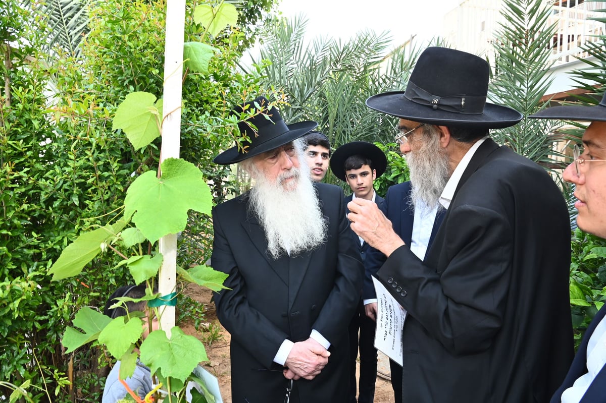 הגרד"ח פינטו בברכת האילנות