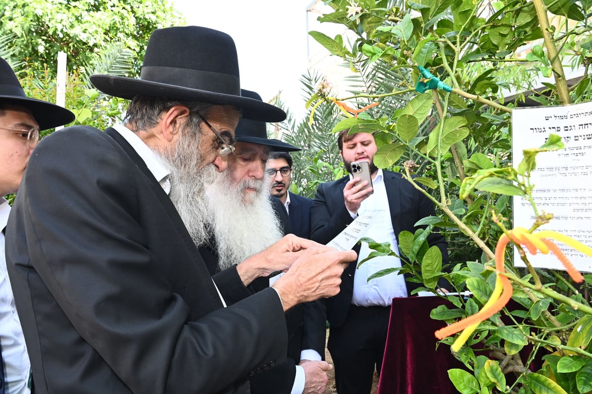 הגרד"ח פינטו בברכת האילנות