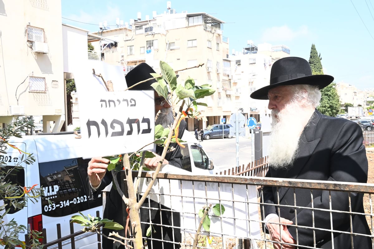 הגרד"ח פינטו בברכת האילנות