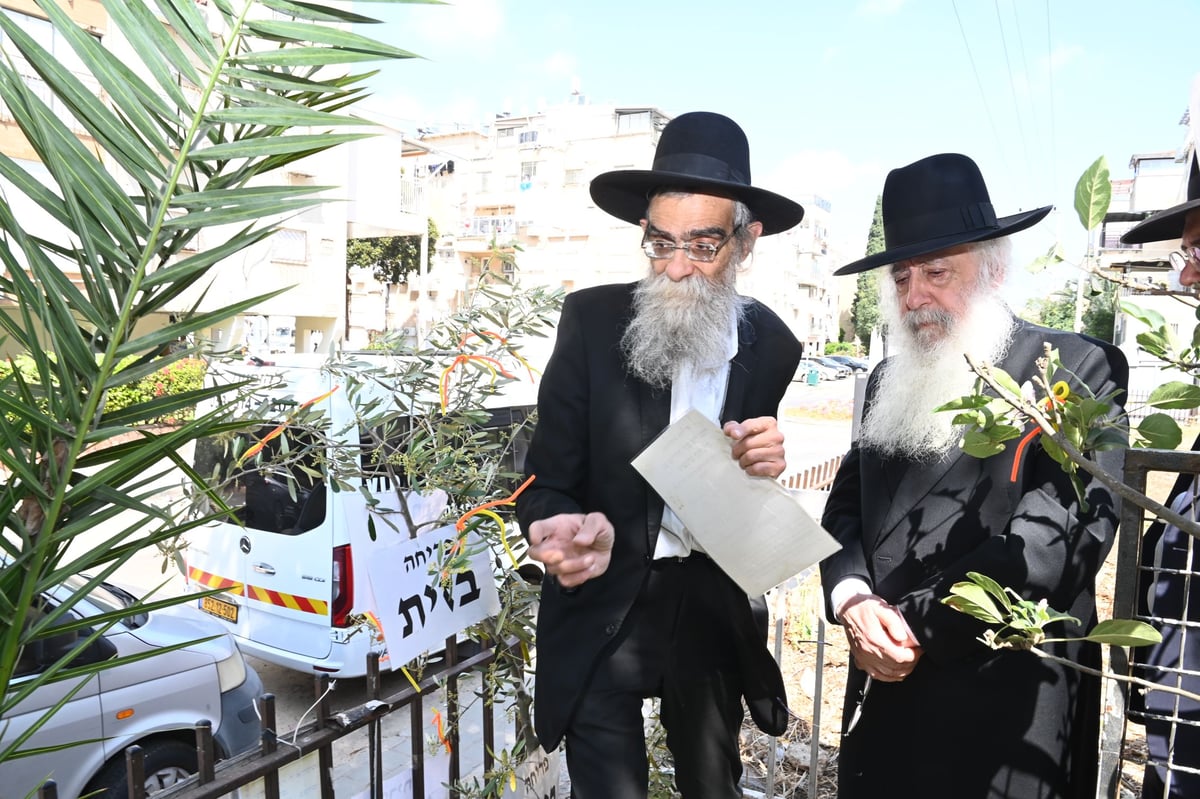 הגרד"ח פינטו בברכת האילנות