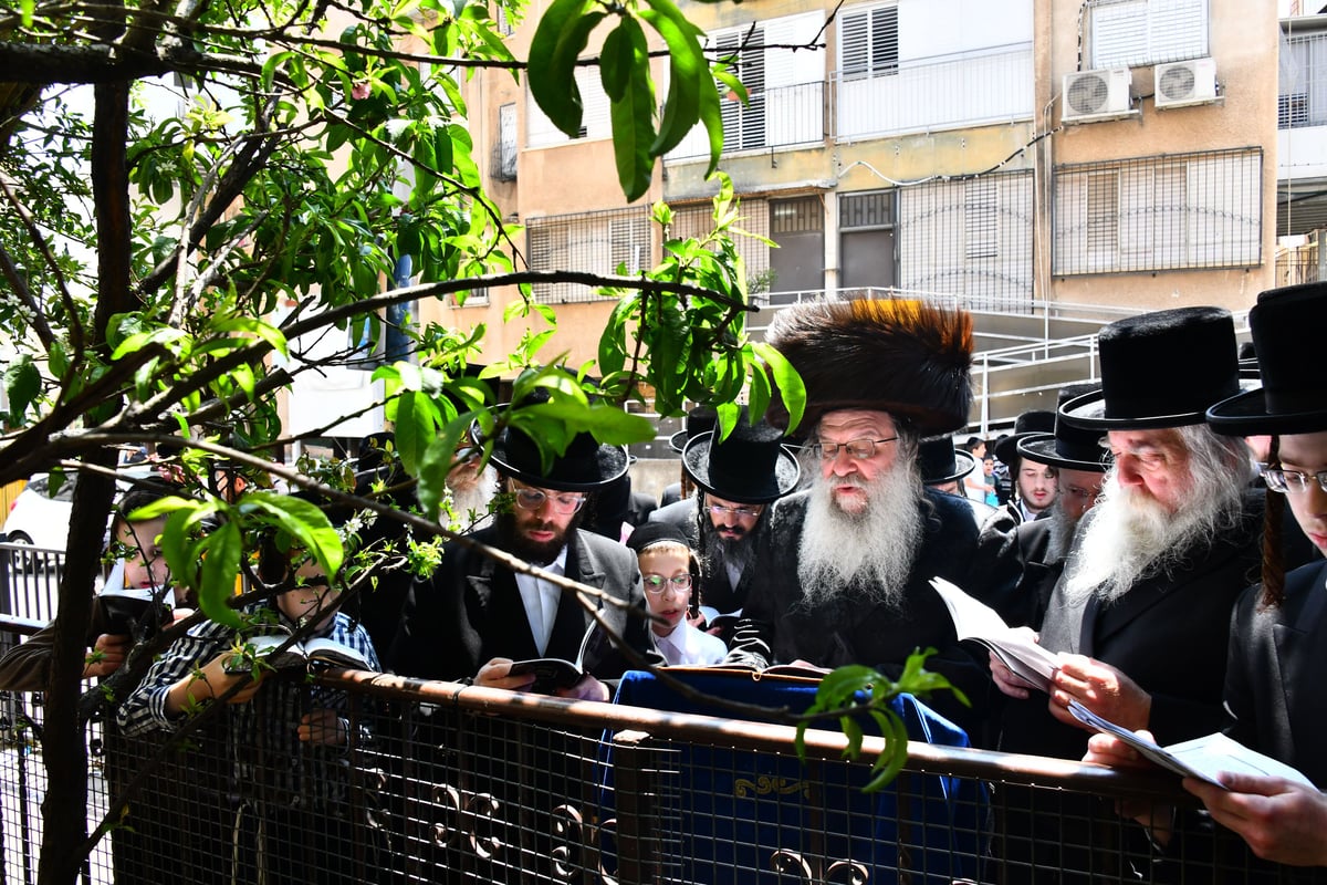 האדמו"ר מנדבורנה בברכת האילנות