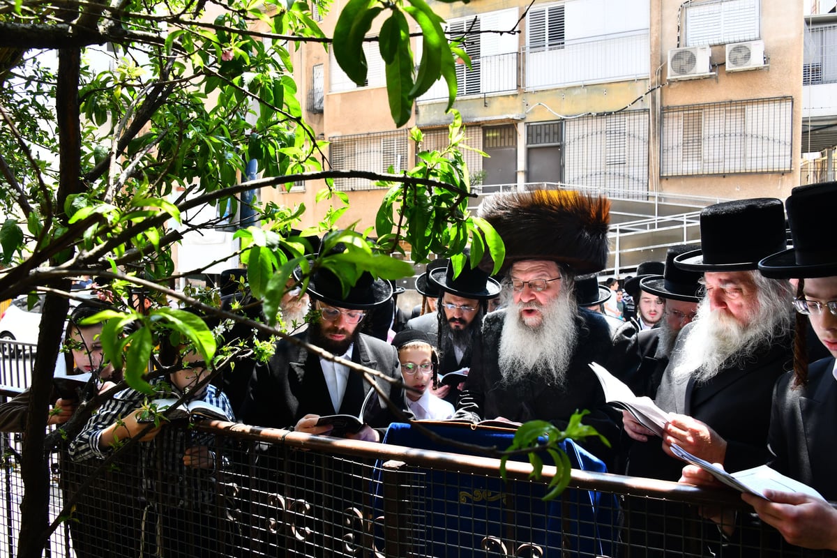 האדמו"ר מנדבורנה בברכת האילנות