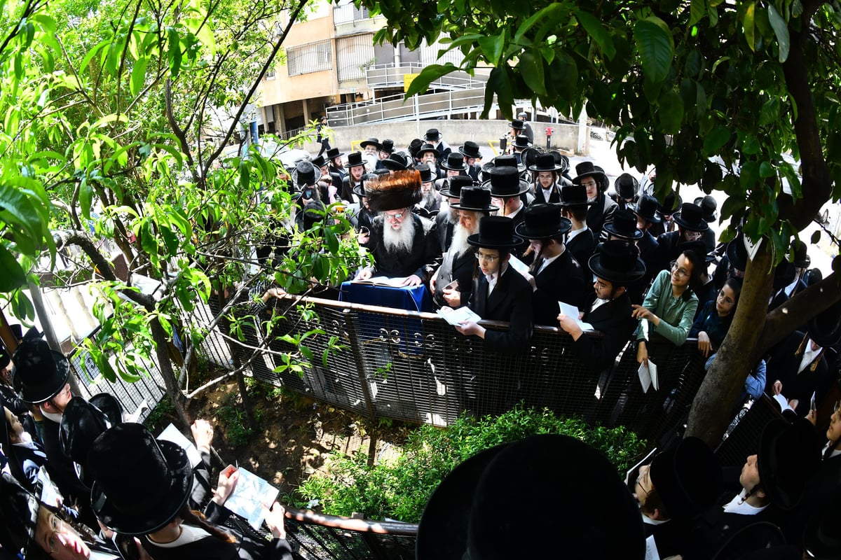 האדמו"ר מנדבורנה בברכת האילנות