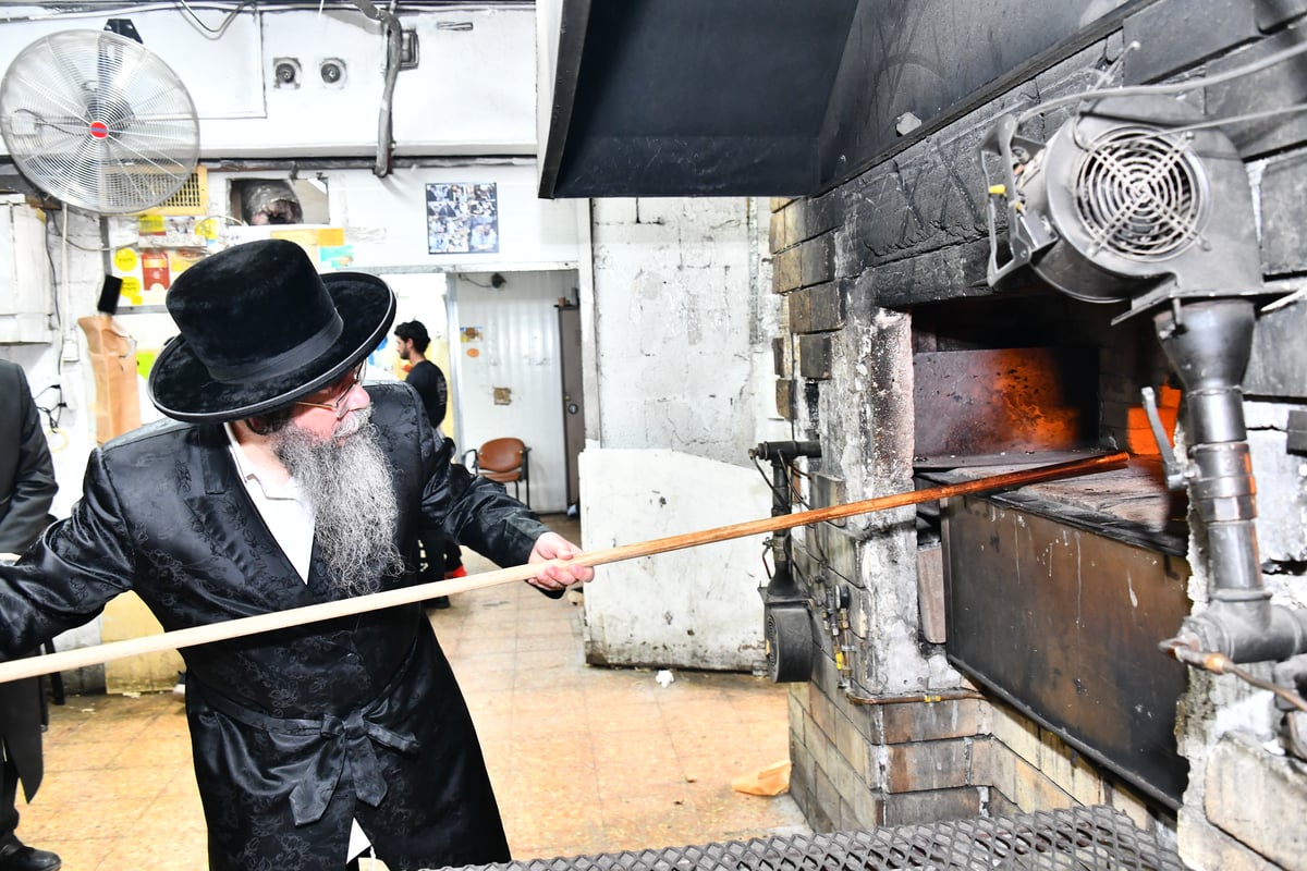 האדמו"ר משבט הלוי באפיית מצות 