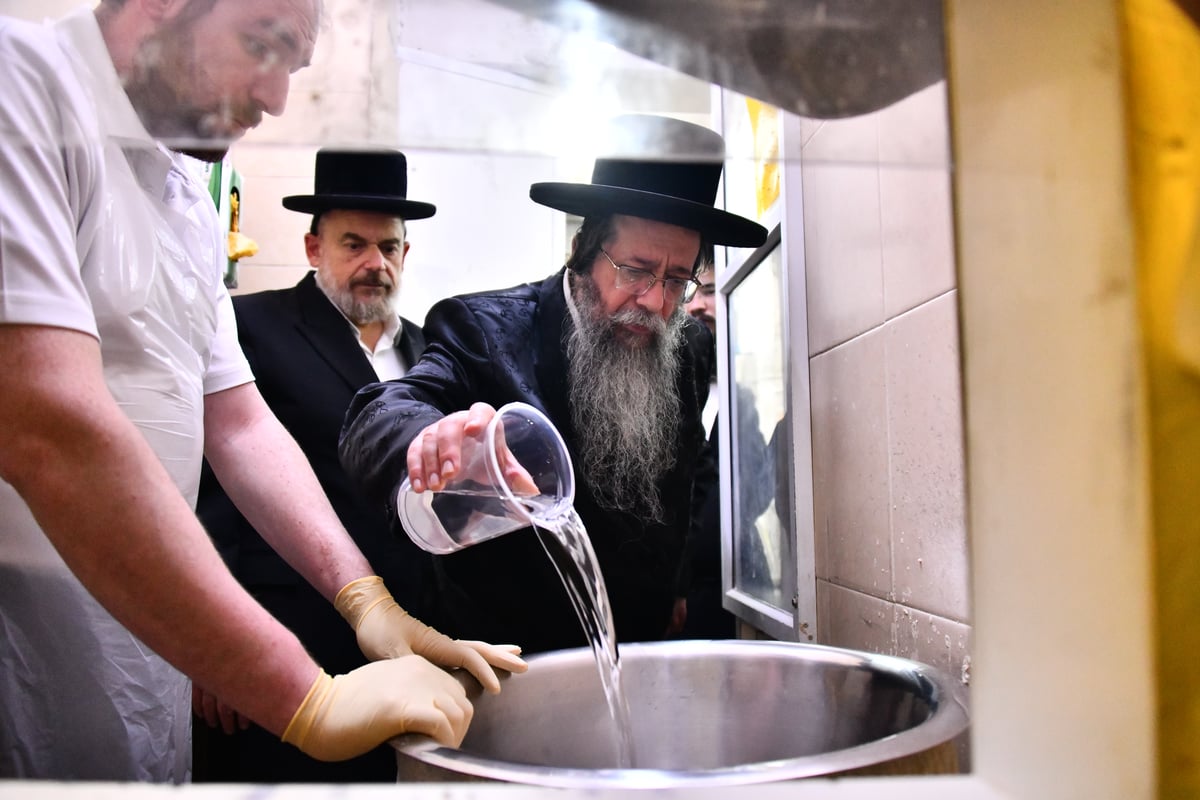 האדמו"ר משבט הלוי באפיית מצות 