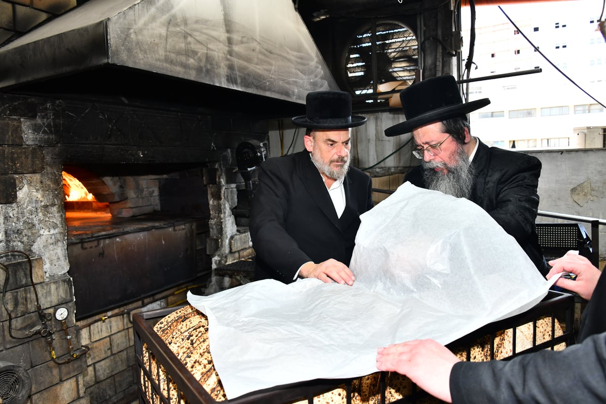 האדמו"ר משבט הלוי באפיית מצות 