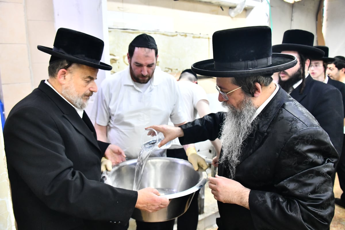 האדמו"ר משבט הלוי באפיית מצות 