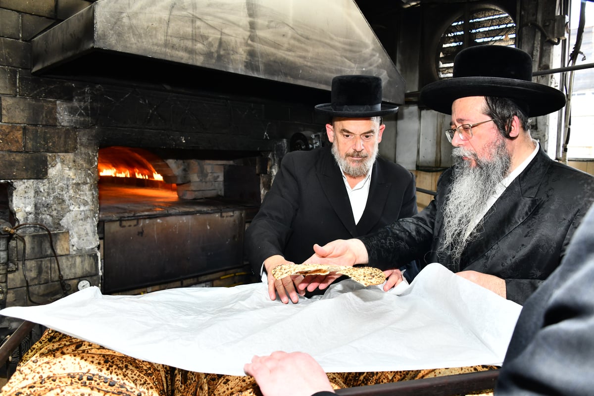 האדמו"ר משבט הלוי באפיית מצות 