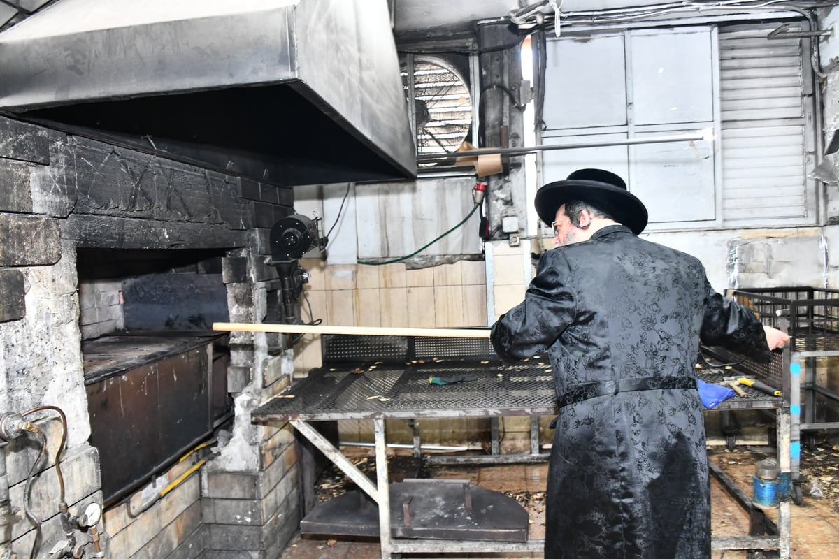 האדמו"ר משבט הלוי באפיית מצות 