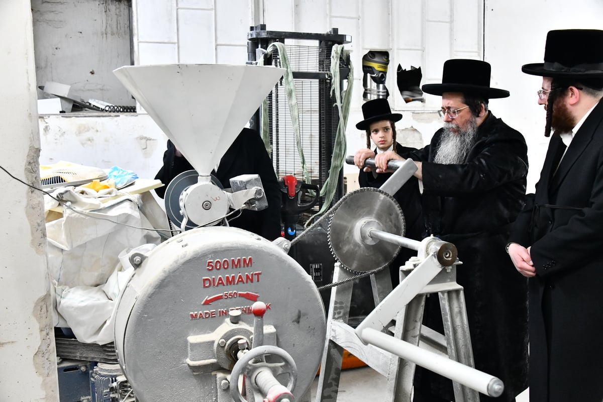 האדמו"ר משבט הלוי באפיית מצות 