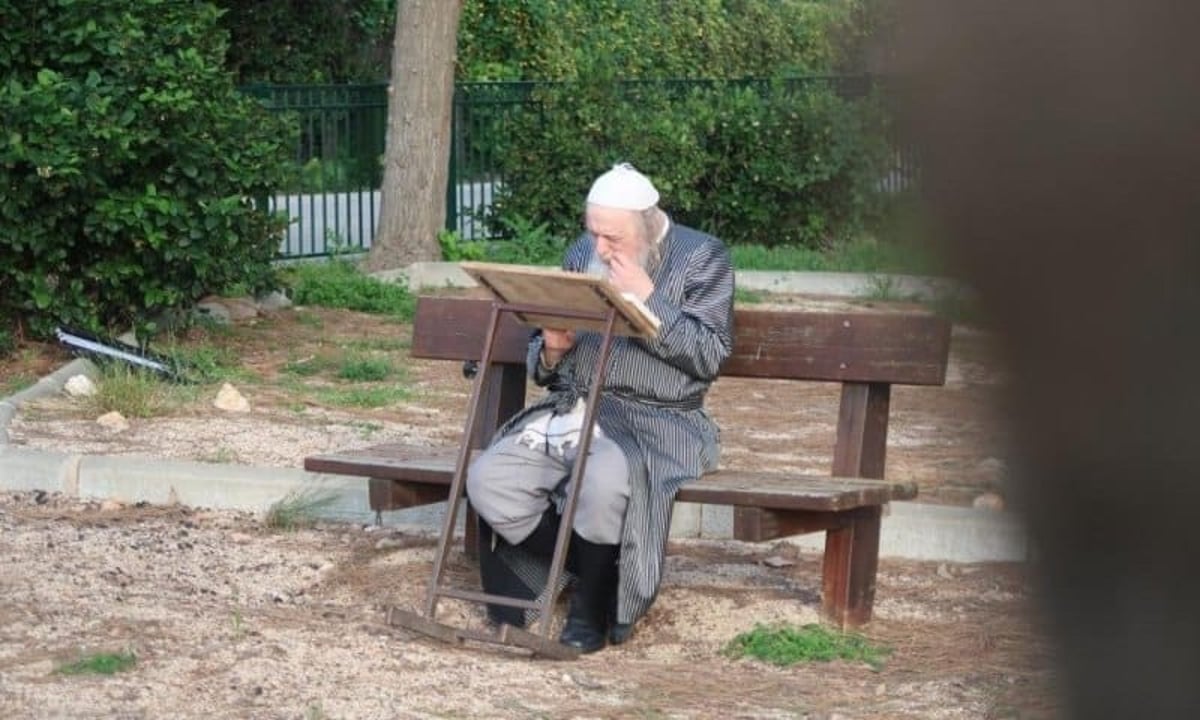 האדמו"ר ממבקשי אמונה בנאות דשא 