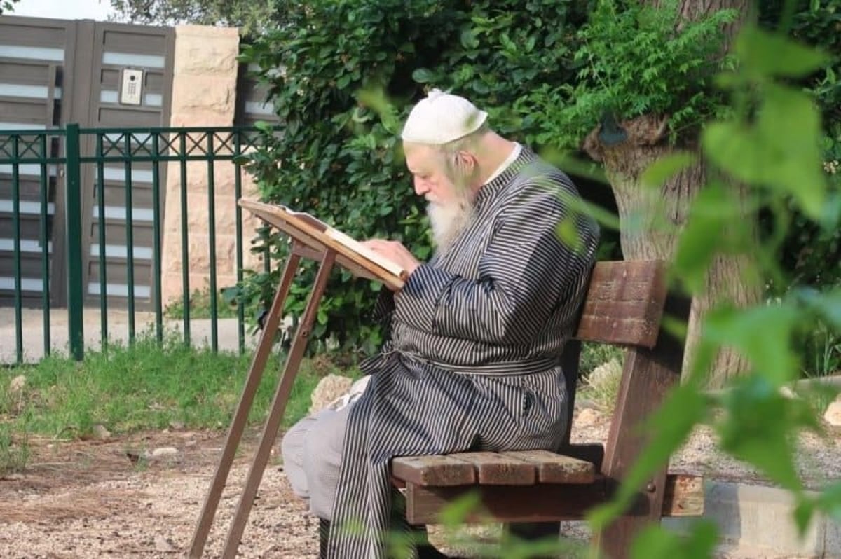 האדמו"ר ממבקשי אמונה בנאות דשא 