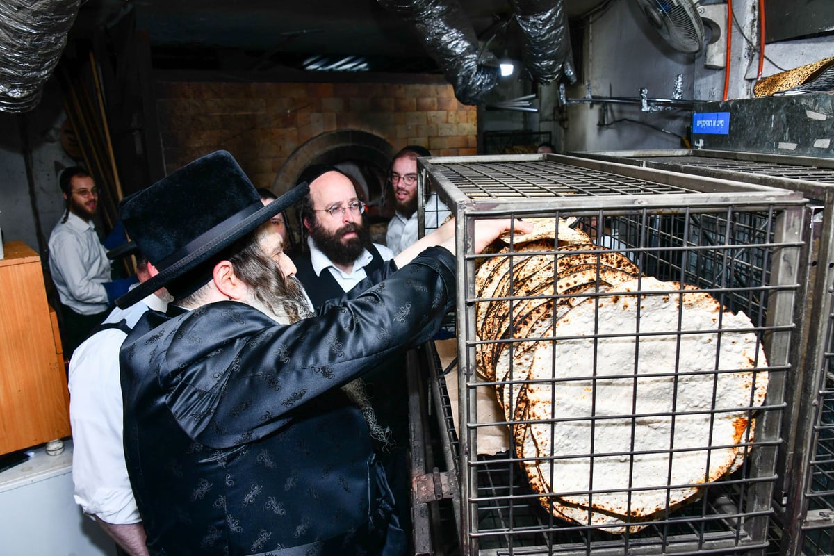 האדמו"ר מזוטשקא באפיית המצות