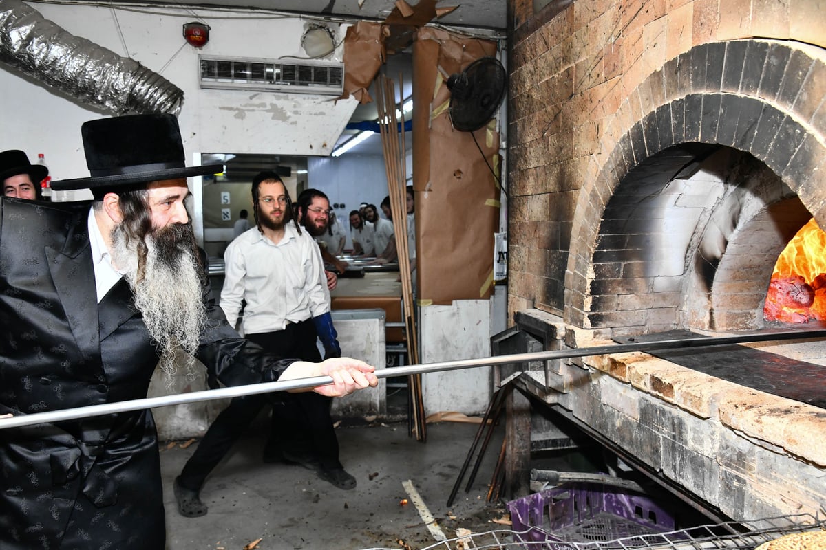 האדמו"ר מזוטשקא באפיית המצות