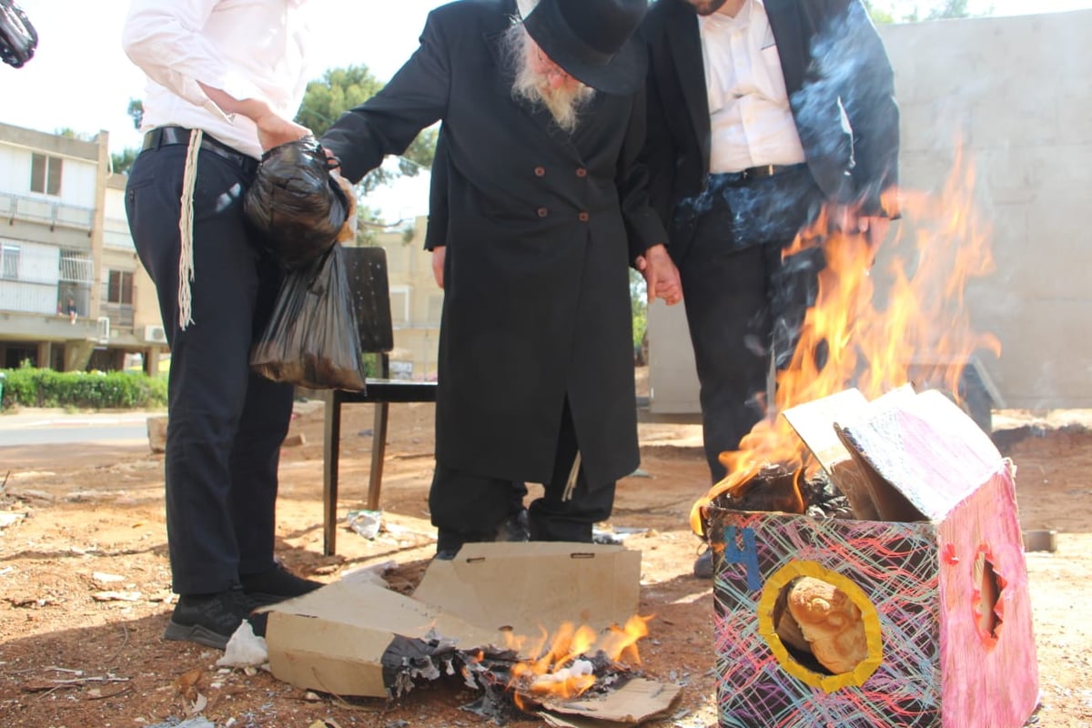 שריפת החמץ של זקן רבני חוג ה'חזון איש' | תיעוד