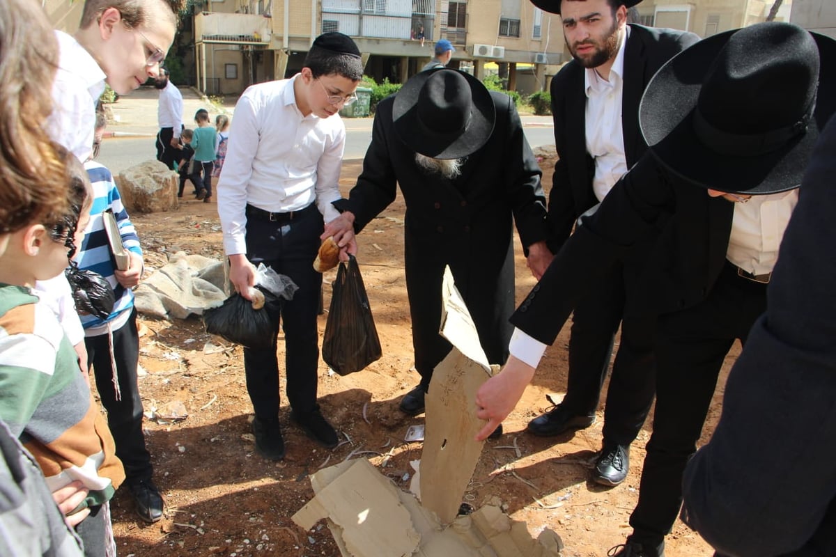 שריפת החמץ של זקן רבני חוג ה'חזון איש' | תיעוד