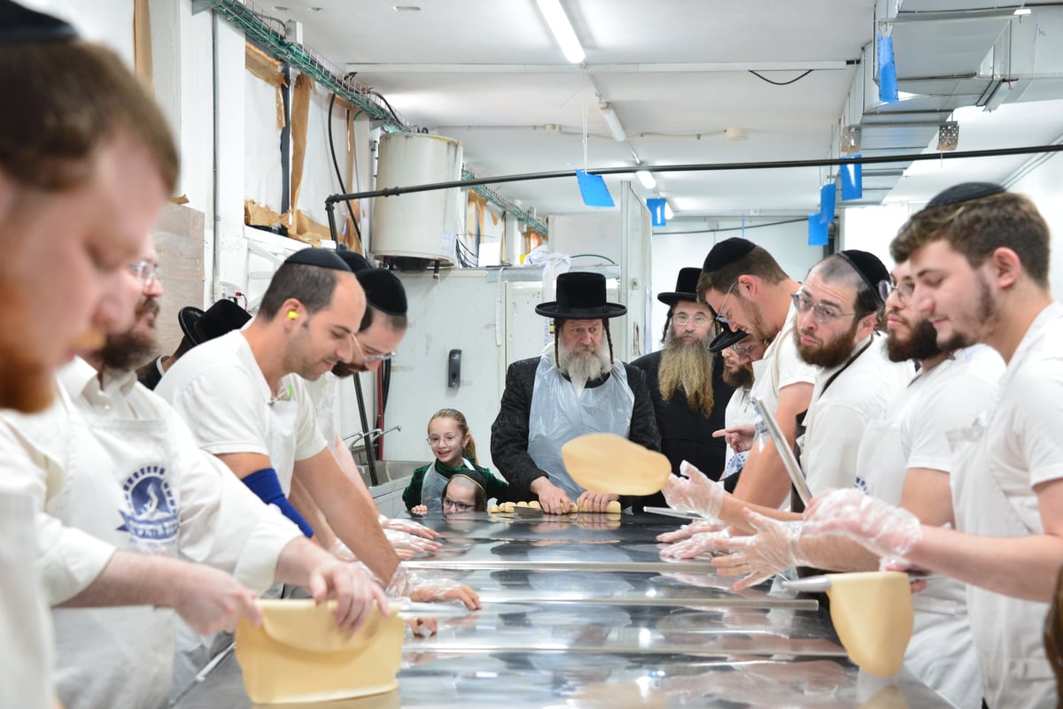 האדמו"ר משאץ אשדוד באפיית מצות