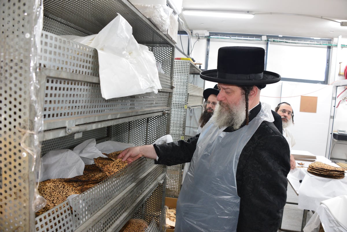 האדמו"ר משאץ אשדוד באפיית מצות