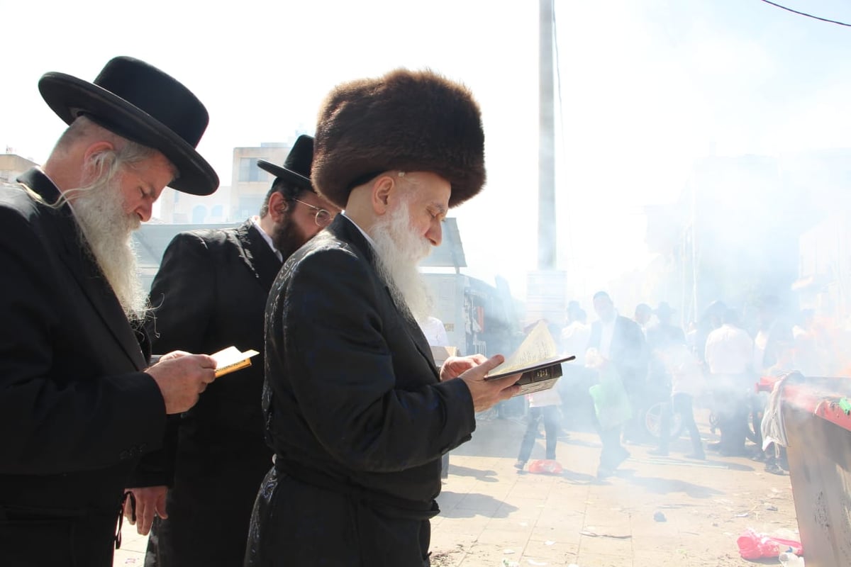 האדמו"ר מבוטשאן בשריפת חמץ