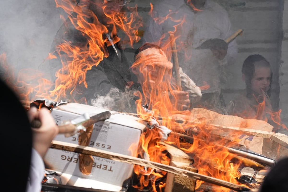 האדמו"ר ממודזיץ בשריפת חמץ