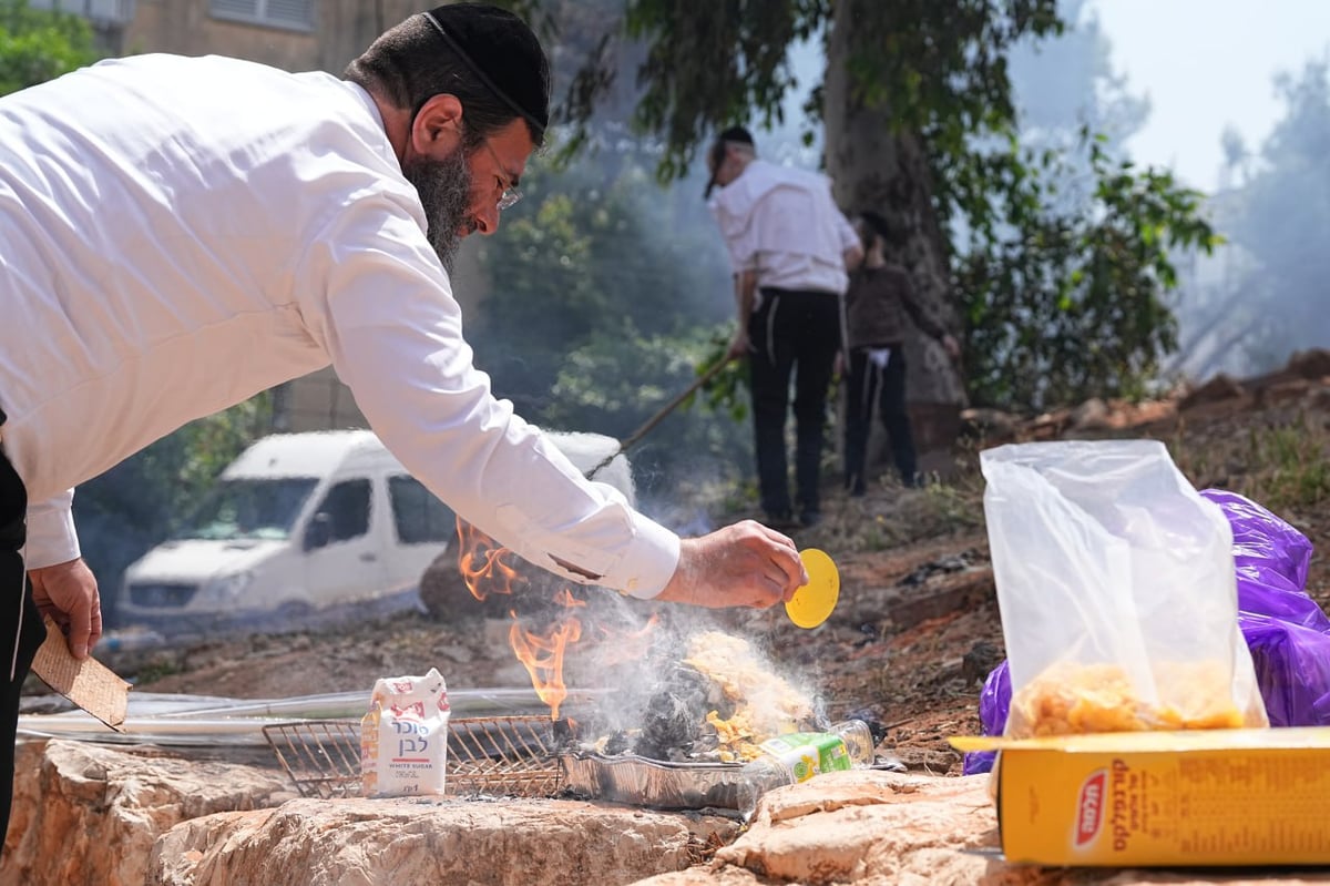 האדמו"ר ממודזיץ בשריפת חמץ