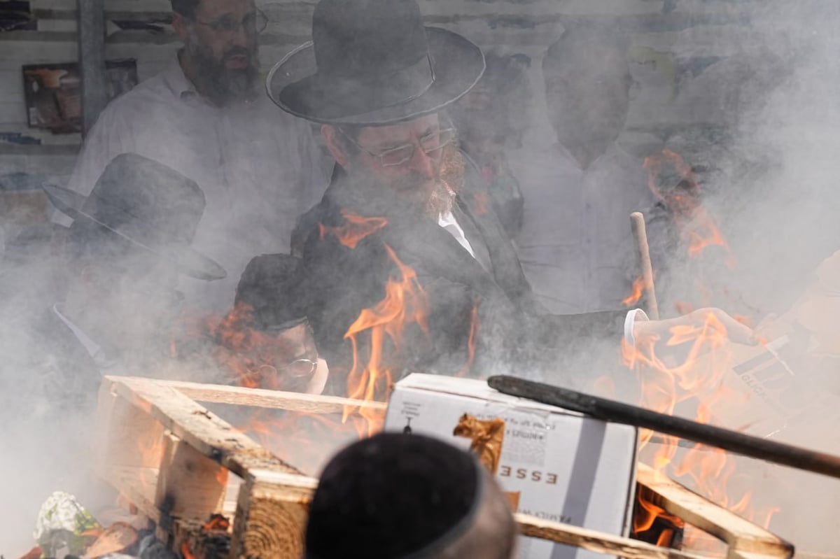 האדמו"ר ממודזיץ בשריפת חמץ