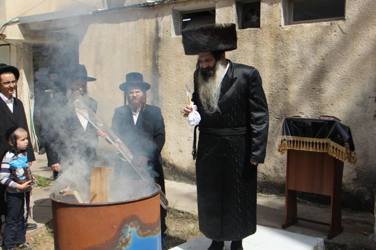 ערב פסח בחצה"ק זוטשקא