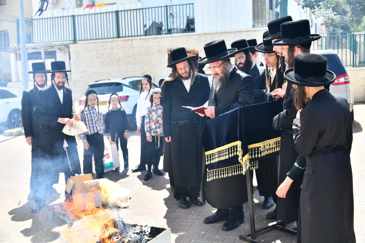 שריפת חמץ בביאלה בית שמש