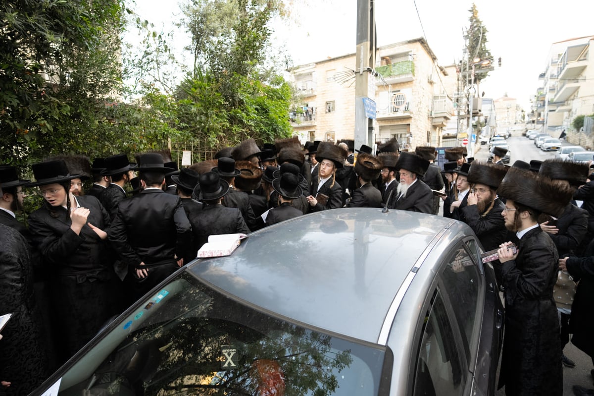 האדמו"ר מנדבורנה ירושלים בברכת האילנות