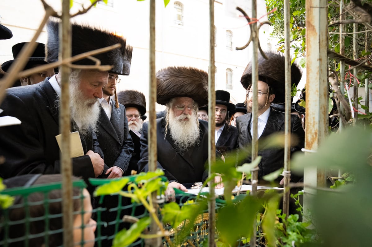 האדמו"ר מנדבורנה ירושלים בברכת האילנות