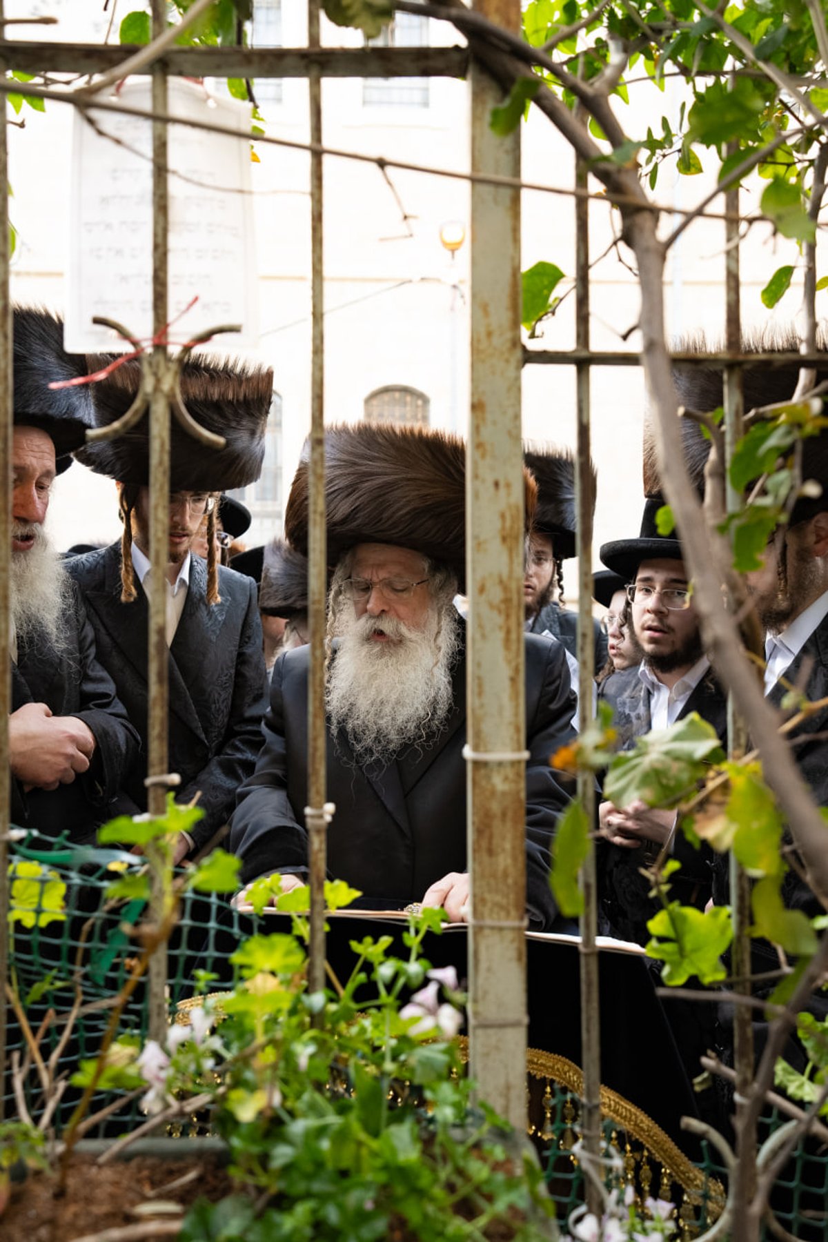 האדמו"ר מנדבורנה ירושלים בברכת האילנות