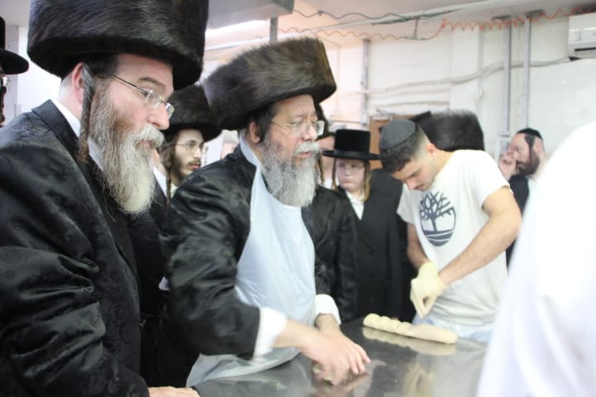 האדמו"ר משבט הלוי באפיית מצות 