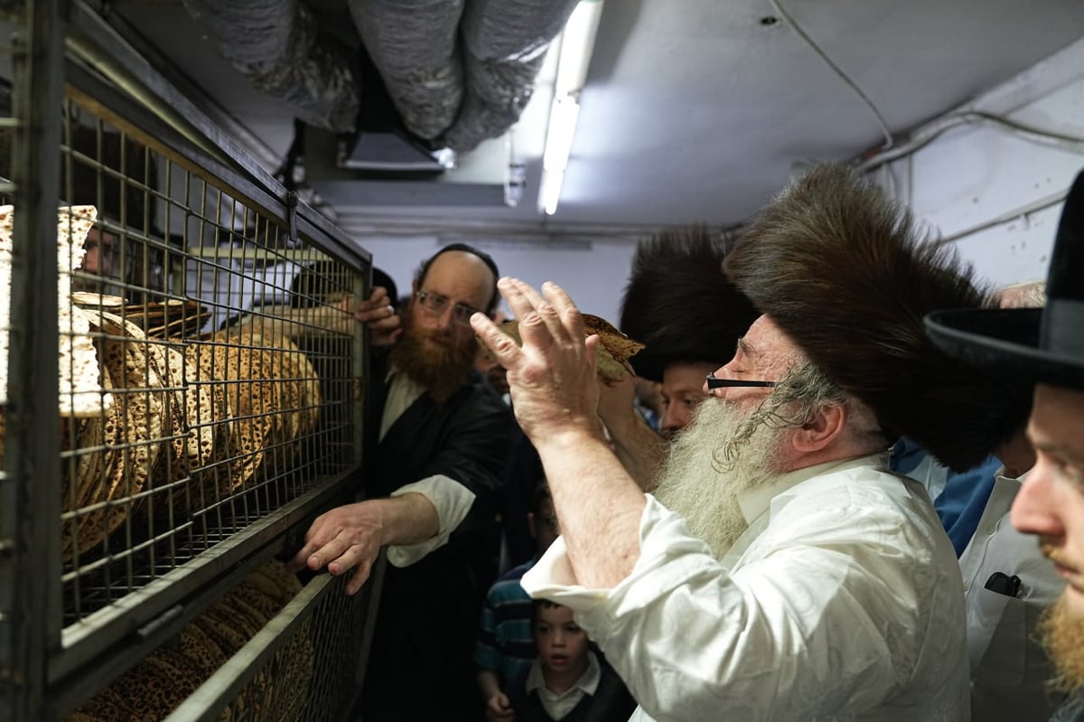 האדמו"ר מקוזניץ באפיית המצות