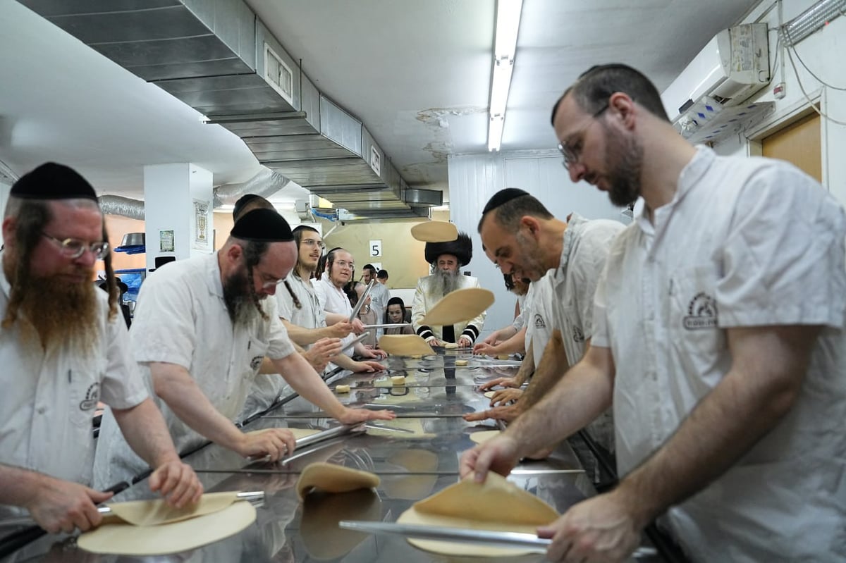 הגר"ס הלברשטאם באפיית המצות