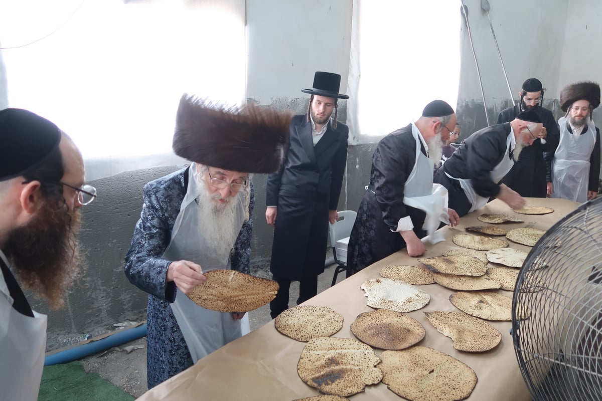 מראות ערב חג פסח בחצה"ק מעליץ